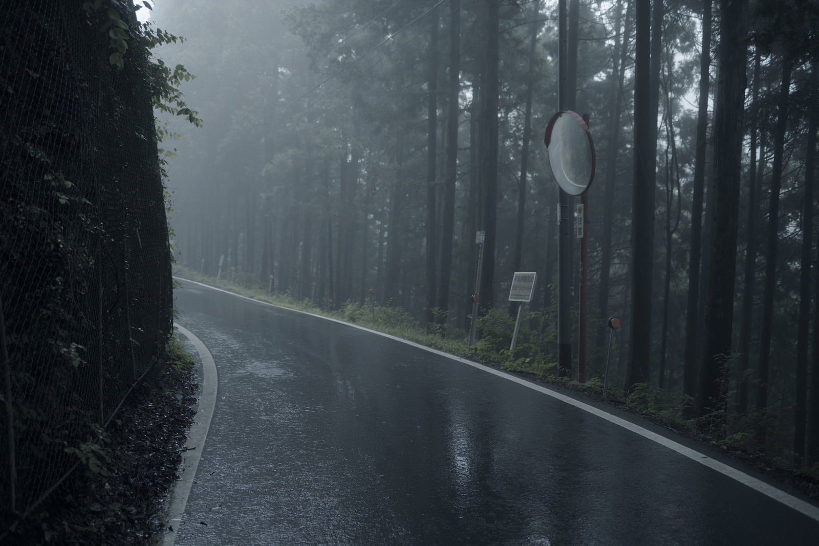 霧に包まれた森の道路のカーブにあるカーブミラー