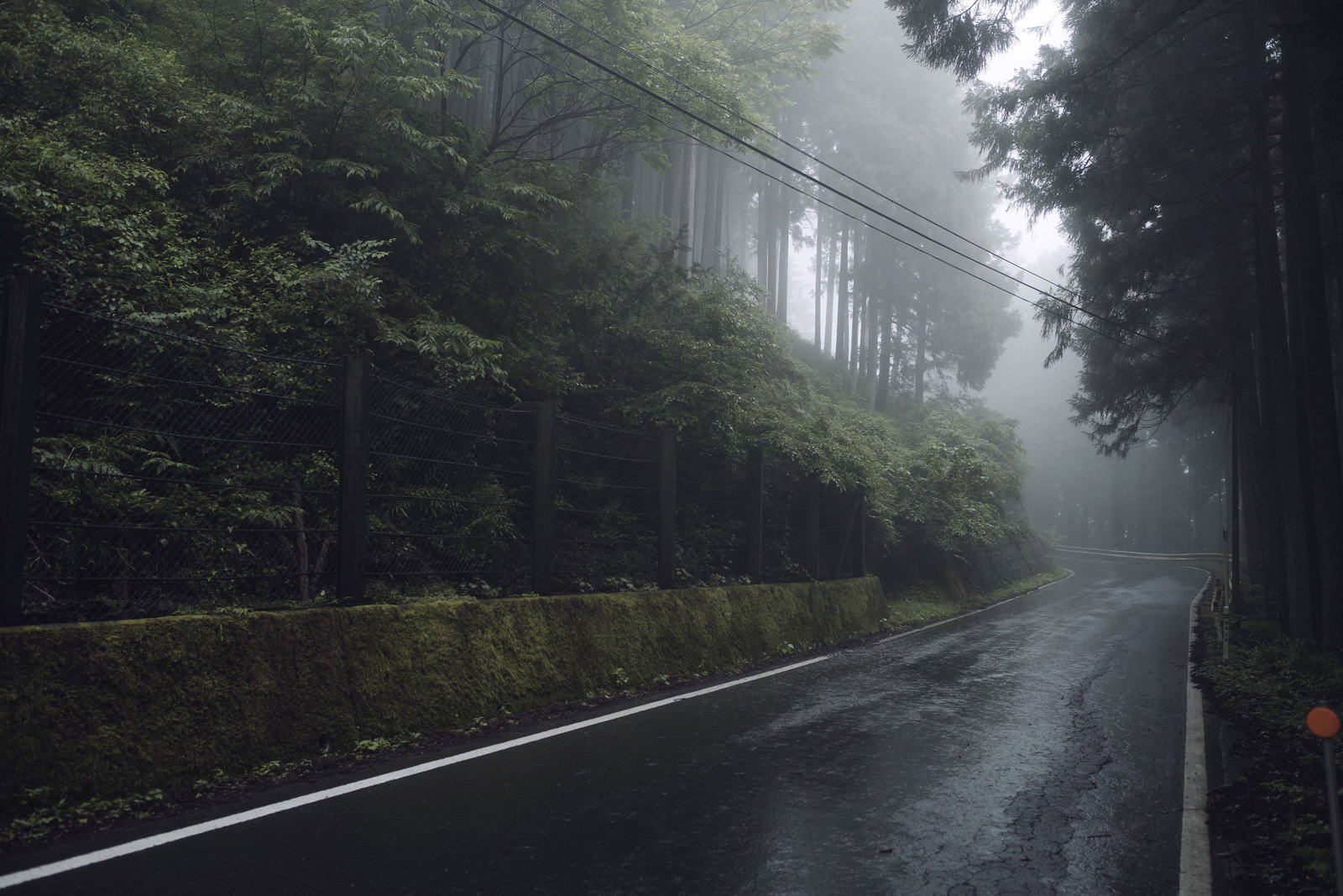 霧に包まれた山間の舗装道路