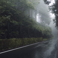 霧の中に続く山間の舗装道路の写真