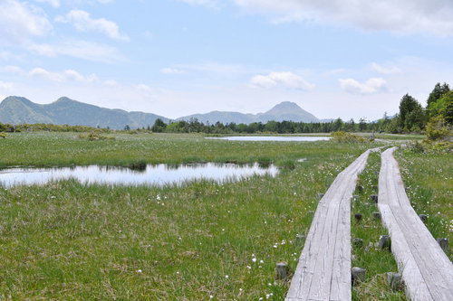 ワタスゲが躍り、木道の先に日光白根山が見える鬼怒沼