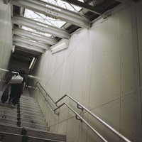 光が差し込むコンクリート階段を上る女性の写真