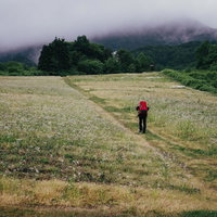 夏のスキー場の草原を登ってゆく登山者たちの写真