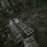 暗い森に朽ちる木道の登山道を歩く山の風景の写真