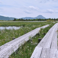木道を歩く鬼怒沼の湿原、白根山を望む景色の写真