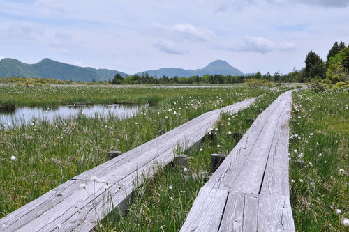 木道を歩く鬼怒沼の湿原、白根山を望む景色