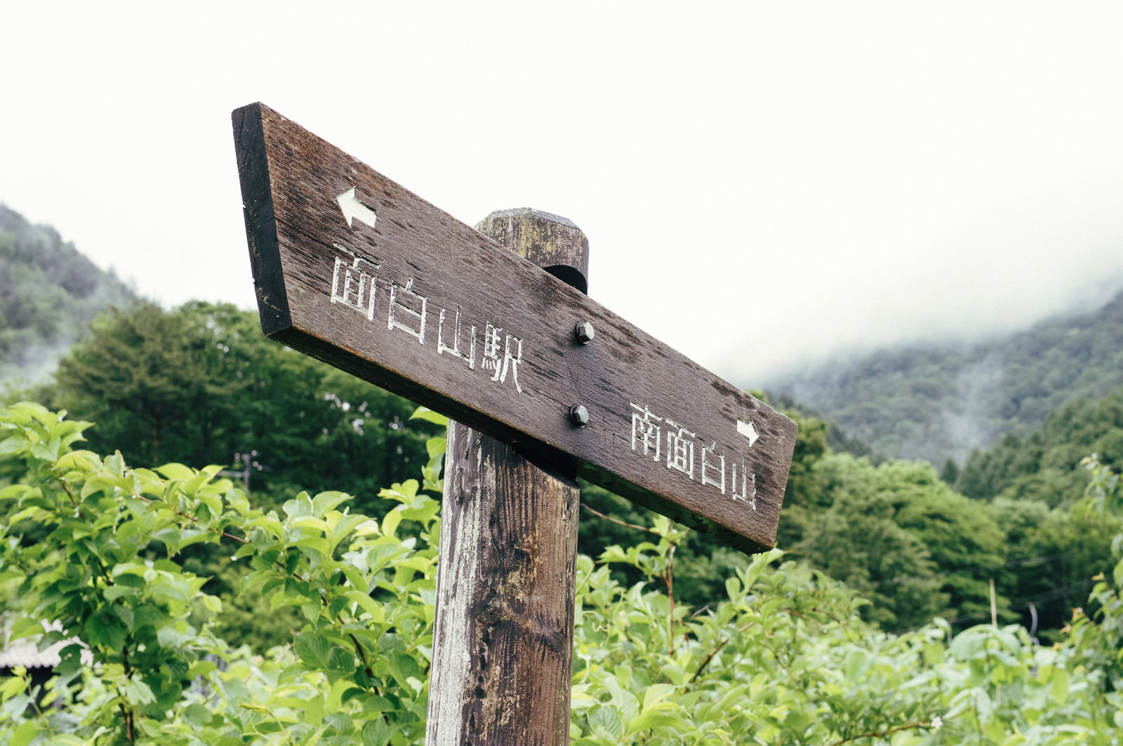 緑の山を背景に立つ茶色い木製の道しるべ標識