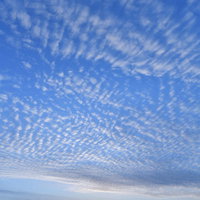 朝焼けに染まるうろこ雲の空 巻積雲が描く幾何学模様の写真