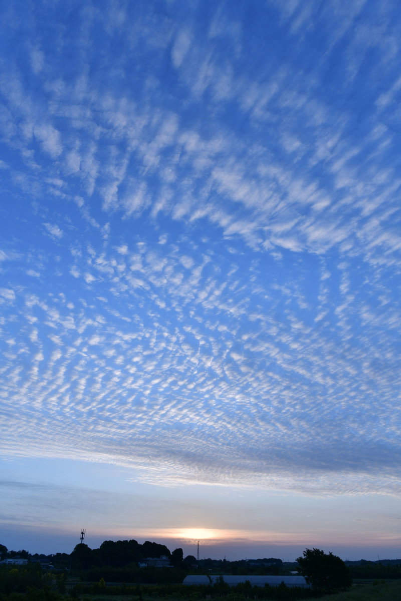朝焼けの空に広がるうろこ雲と巻積雲の空模様