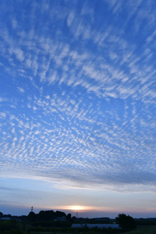 朝焼けに染まるうろこ雲の空 巻積雲が描く幾何学模様