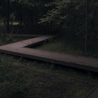 暗がりに浮かび上がる木道を散策する様子の写真