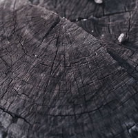 金属のような質感の木の切り株の断面とひび割れの写真