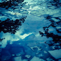 雨上がりのアスファルトにできた水溜りに映る空と木の写真