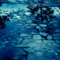 雨上がりの水溜りに映り込む空と景色、梅雨時期の自然風景の写真