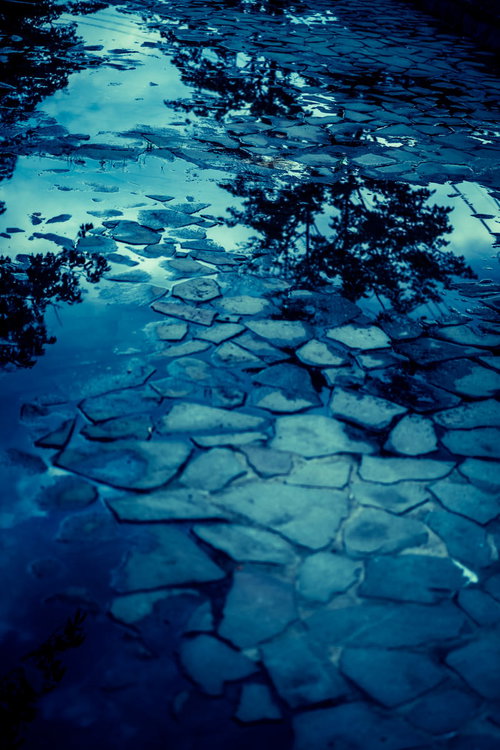 雨上がりの水溜りに映り込む空と景色、梅雨時期の自然風景