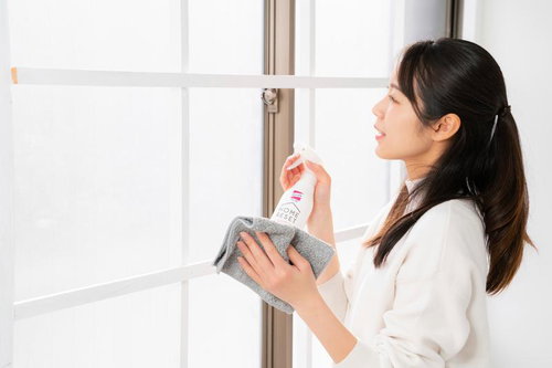 窓ガラスをスプレーと雑巾で拭き掃除する女性