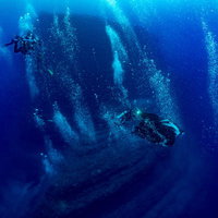 ダイバーが作る泡の中を滑空するマンタの水中の写真