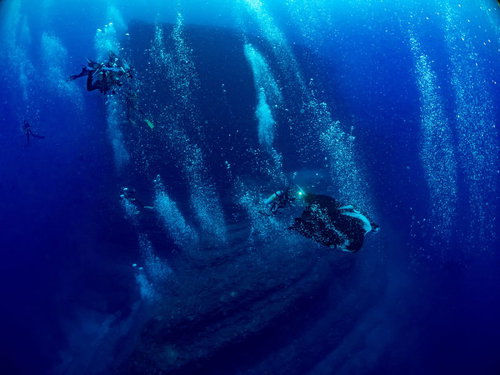 ダイバーが作る泡の中を滑空するマンタの水中