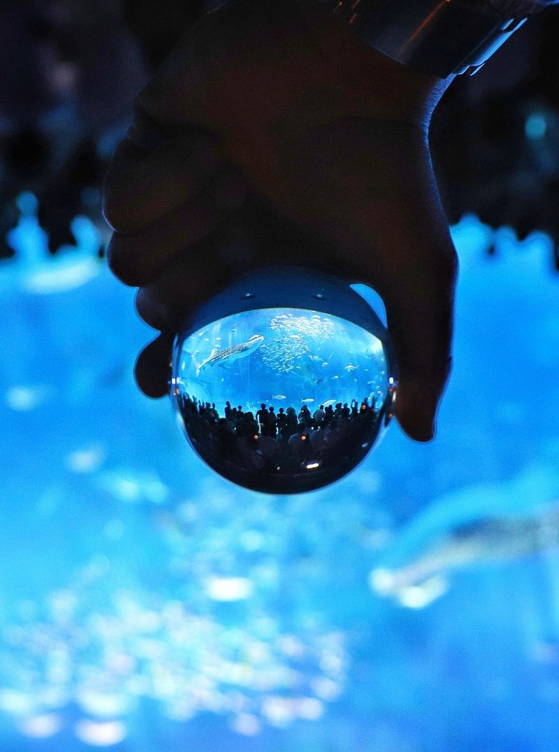 手に持った水晶球に青い水族館の景色が逆さまに映り込む様子