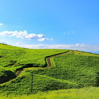 丘に広がる草原と小道、青い空の見晴らしの良い風景の写真