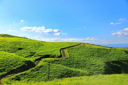 丘に広がる草原と小道、青い空の見晴らしの良い風景