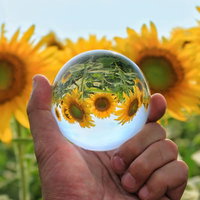 水晶玉越しのひまわり畑の写真