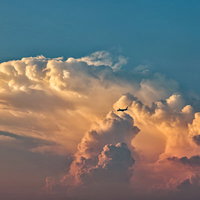 夕焼けに染まる入道雲と飛行機が横切る夏の空の写真