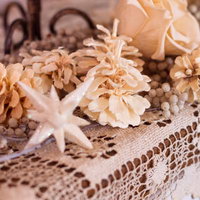 クリーム色の花びらが幾重にも重なるバラの柔らかな接写の写真