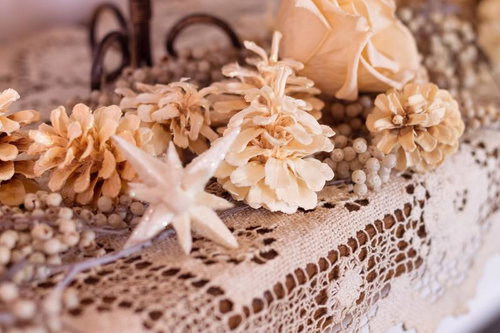 クリーム色の花びらが幾重にも重なるバラの柔らかな接写