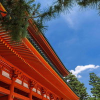 平安神宮の朱色の屋根と松の木の写真