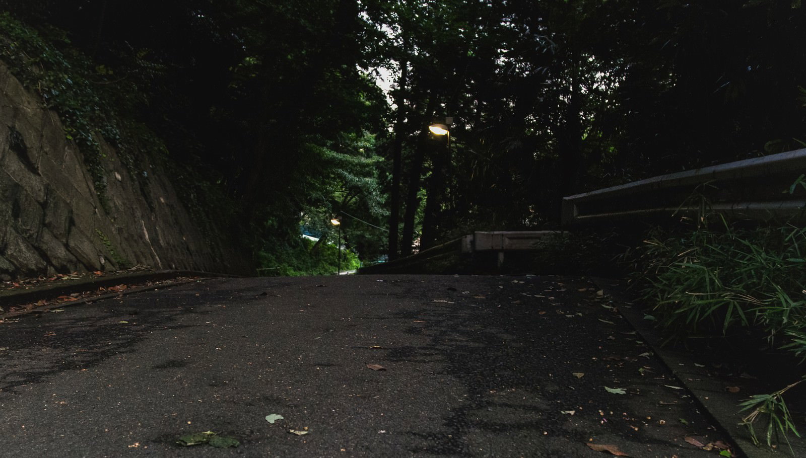 夜間の薄暗い森の道路、両側の樹々と石壁に街灯の光