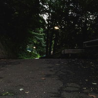 夕暮れ過ぎの不気味な森の道、薄暗い樹海の奥へ消える落ち葉散乱の夜間路面の写真