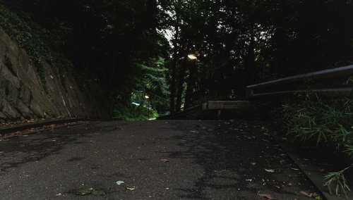 夕暮れ過ぎの不気味な森の道、薄暗い樹海の奥へ消える落ち葉散乱の夜間路面の写真