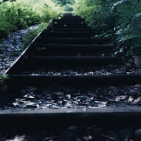 雨上がり湿った木の階段と草むす廃線跡の写真