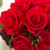 赤いバラのブーケ（父の日・母の日）の写真