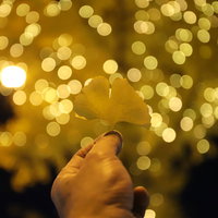 握りしめたイチョウの葉と夜景のイルミネーションの写真