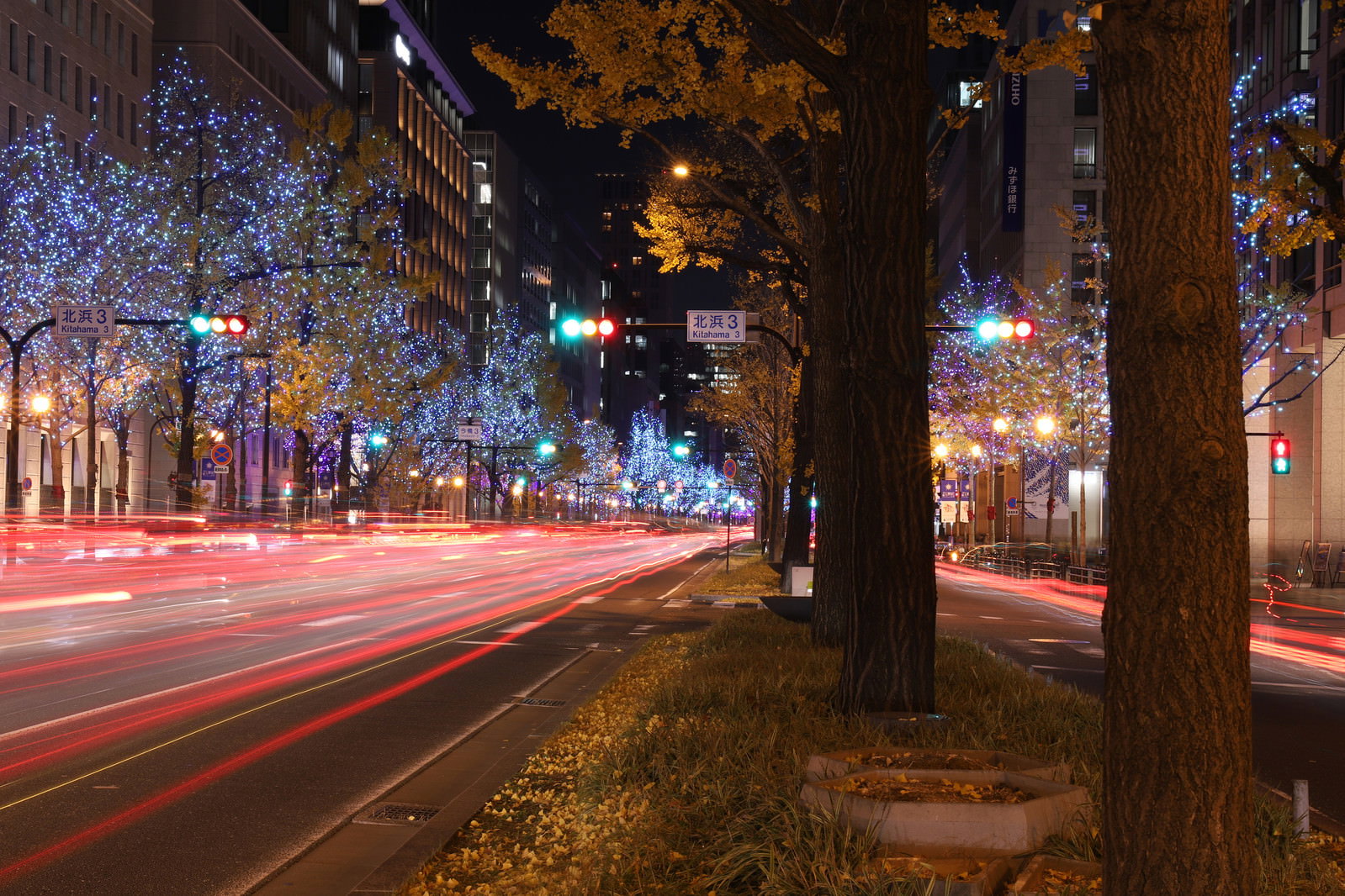電飾で装飾された街路樹のある夜の道路を車のライトが光跡となって流れている夜景