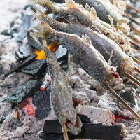 炭火の上で串焼きにされるニジマスの写真