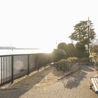 海芝公園の眺望デッキから望む東京湾の風景の写真