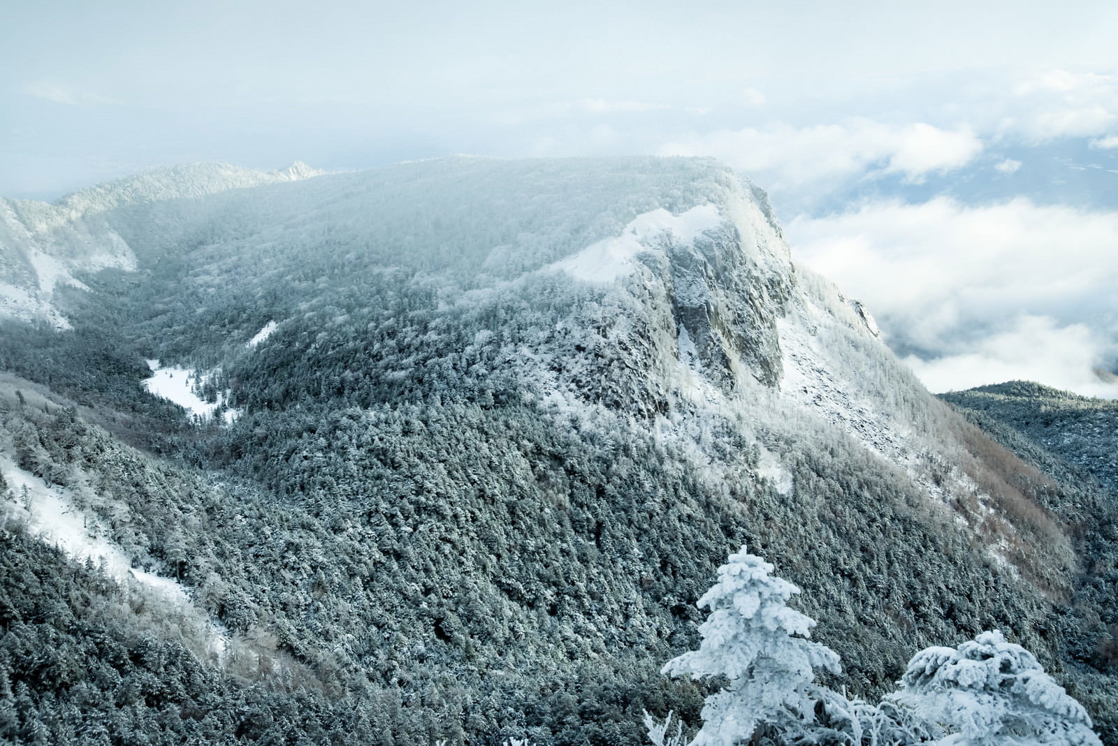 雪に覆われた稲子岳の山頂付近に雲海が立ち込める厳冬期の山岳風景