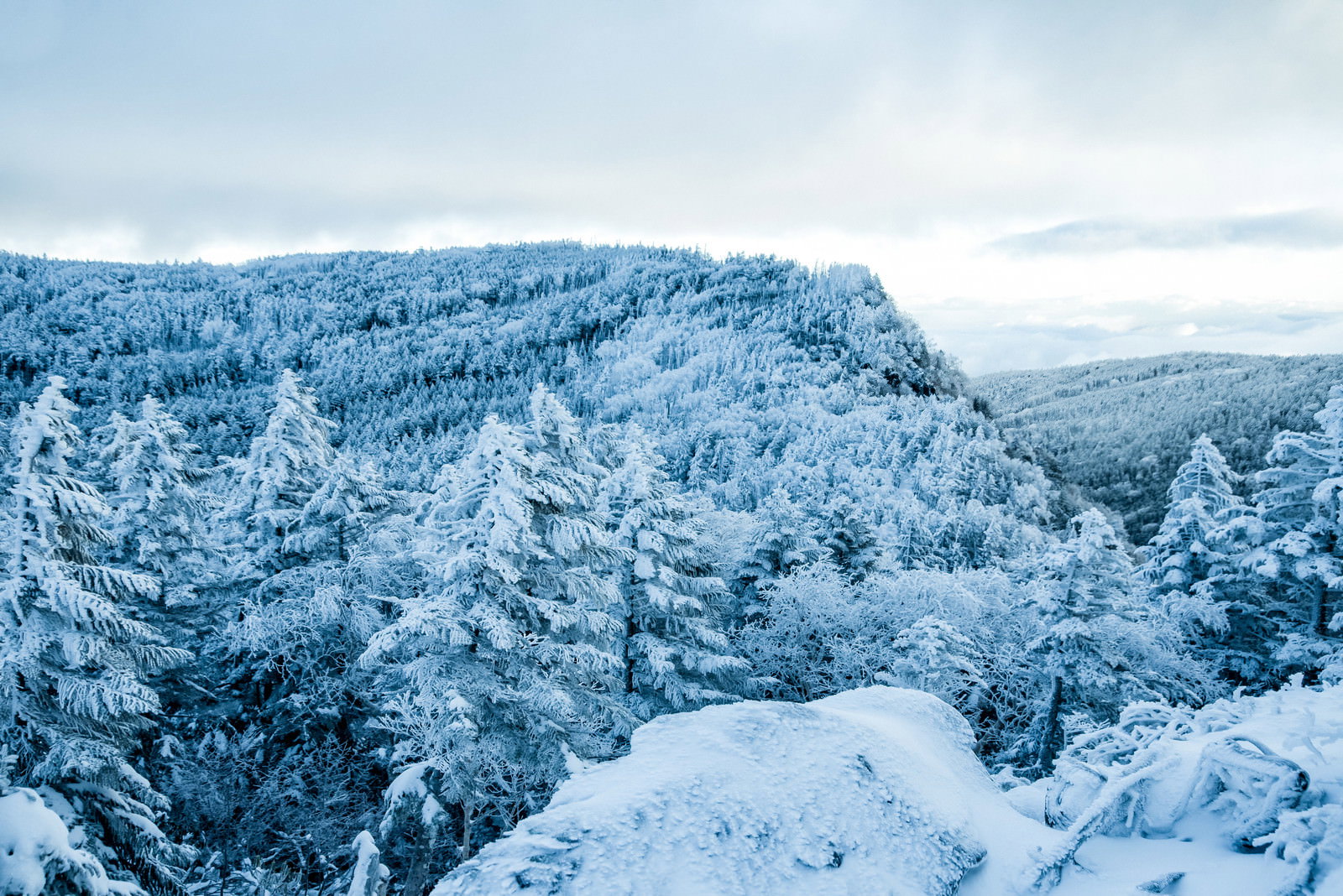 吹雪の後の樹氷と雪に覆われた冬山