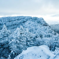 吹雪が去った後の樹氷の森の写真