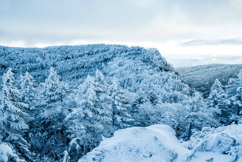 吹雪が去った後の樹氷の森