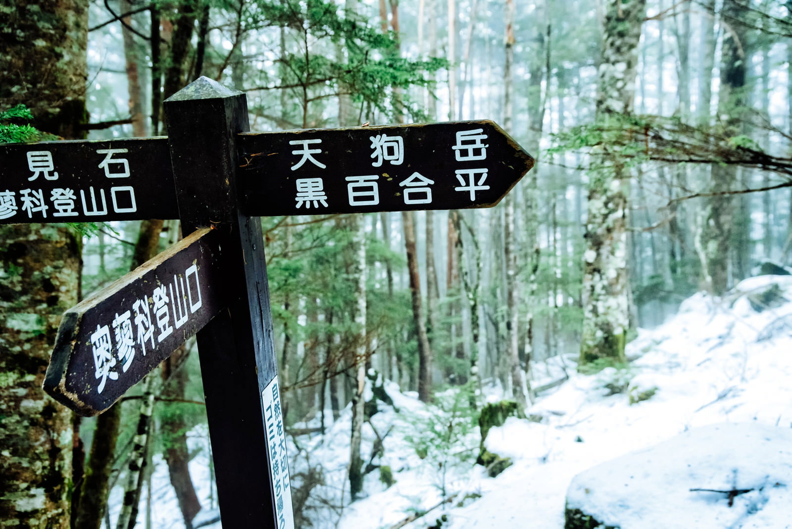 雪に覆われた登山道に設置された天狗岳への方向を示す木製の道標
