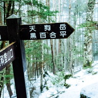 積雪の登山道で見つけた天狗岳の方向を示す木製の道標の写真