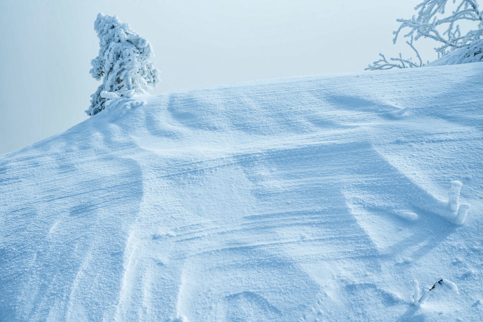 雪面に風によって形成されたシュカブラの波状模様
