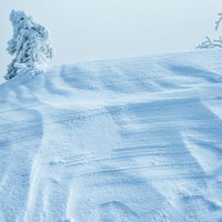 風の影響で出来る波型の波形シュカブラ：雪面の自然紋様の写真