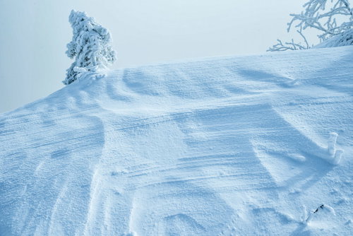 風の影響で出来る波型の波形シュカブラ：雪面の自然紋様