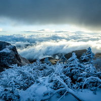 樹氷越しに拝む雪化粧の稲子岳と雲海の冬山風景の写真