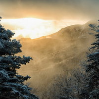 朝日を浴びる白銀の森と立ち込める霧のガスの写真