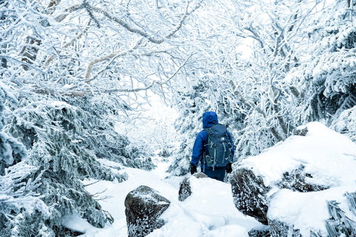 樹氷と霧氷に覆われた雪山を進む登山者の冬山登山